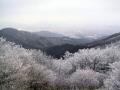 지리산 바래봉의 겨울 썸네일 이미지