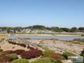 용소마을의 농장 썸네일 이미지