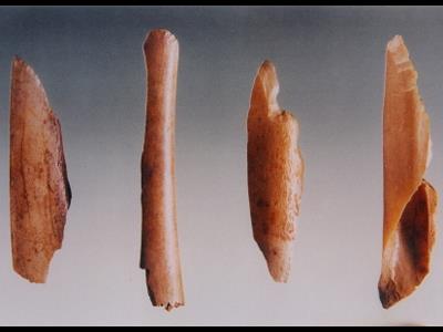 제천 점말동굴 유적 뼈연모 유물 썸네일 이미지