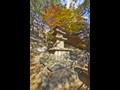 은해사 중암암 삼층 석탑 썸네일 이미지