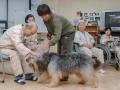 2006년 복지관 동물매개치료 활동 썸네일 이미지