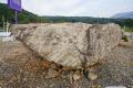 복원된 화산동 유적 고인돌 썸네일 이미지