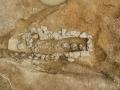대구 대명동 고분군 삼국시대 석곽묘 12호 썸네일 이미지