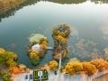 밀양 위양못 가을 전경 썸네일 이미지