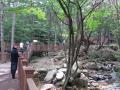 가야산 역사 신화 공원의 산책로 데크 썸네일 이미지
