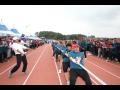 제50회 성주군민 체육 대회의 줄다리기 모습 썸네일 이미지