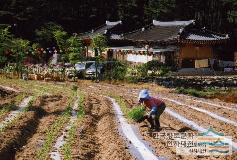 대표시청각 이미지