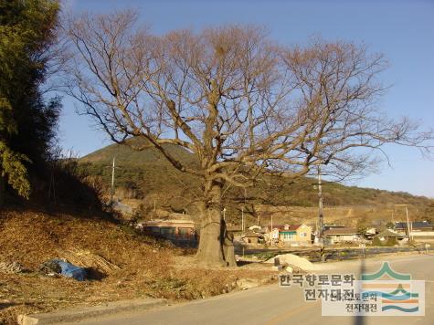 대표시청각 이미지