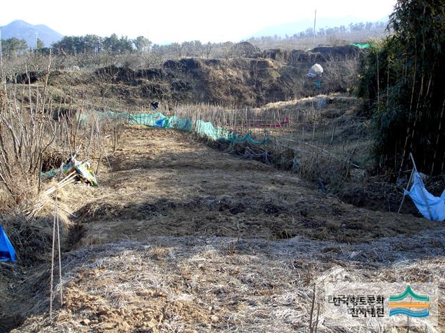 대표시청각 이미지