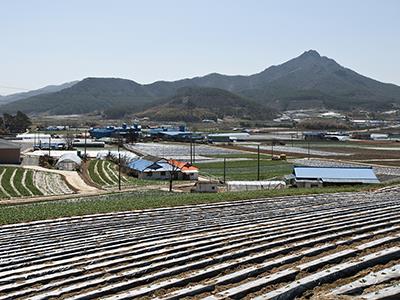 팔봉산에서 바라본 대황리 썸네일 이미지