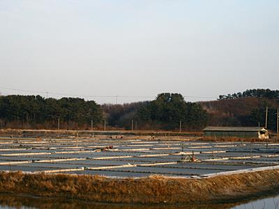 오지리 염전 썸네일 이미지