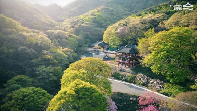 경산의 팔공산, 그 문화적 가치를 들여다보다 썸네일 이미지